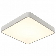 Накладной светильник arte lamp scen...
